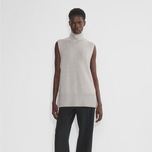 ARITZIA BABATON Merino Wool Turtleneck